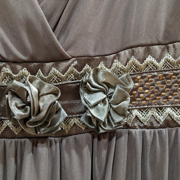 Vintage Peekaboo Lace Floral Beaded Empire Waist Chiffon Dress S Prom Balletcore - Picture 6 of 8